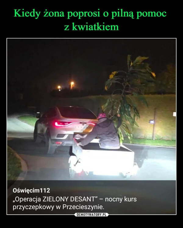 Kiedy żona poprosi o pilną pomoc z kwiatkiem