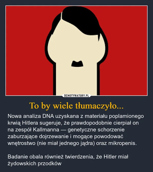 
    To by wiele tłumaczyło...