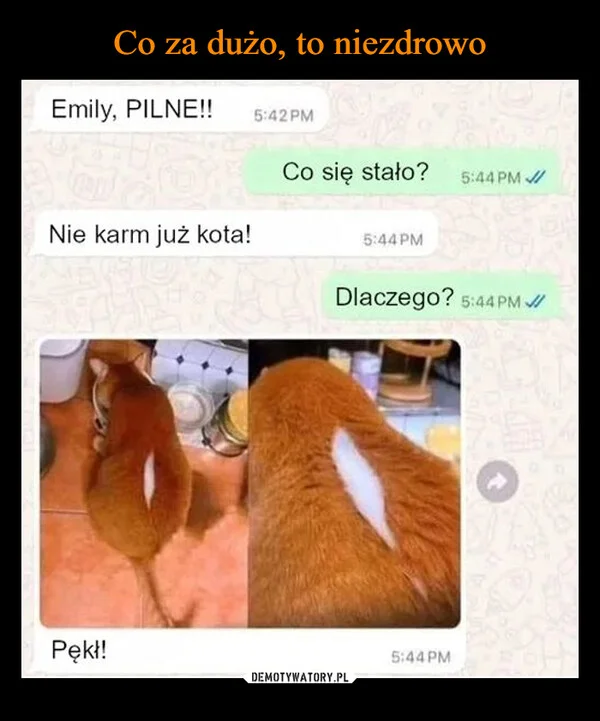 
    Co za dużo, to niezdrowo