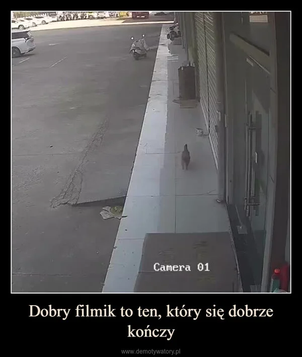 Dobry filmik to ten, który się dobrze kończy