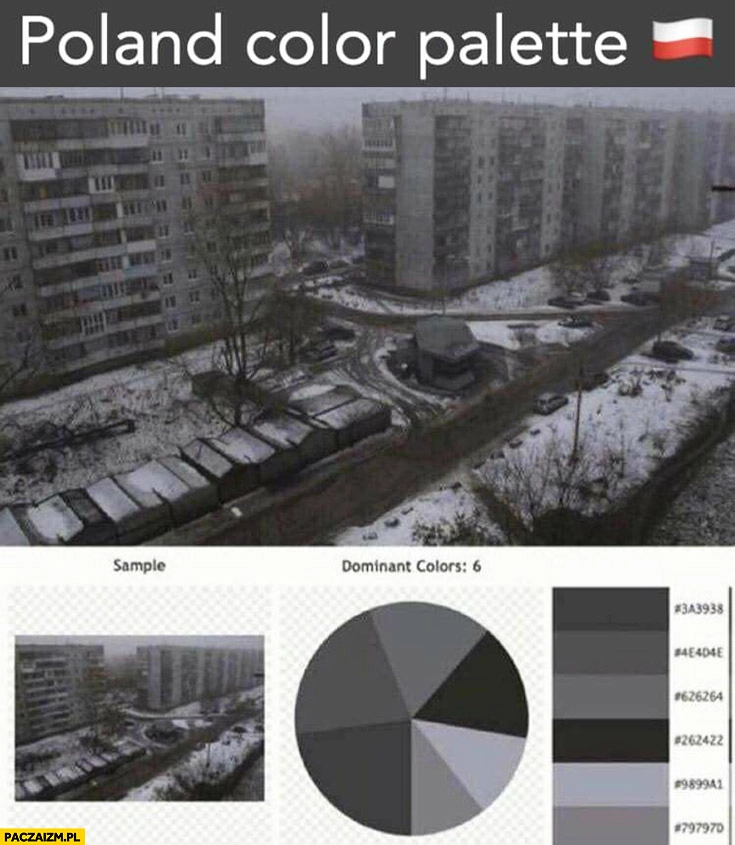 Polska paleta kolorów Polski same odcienie szarości