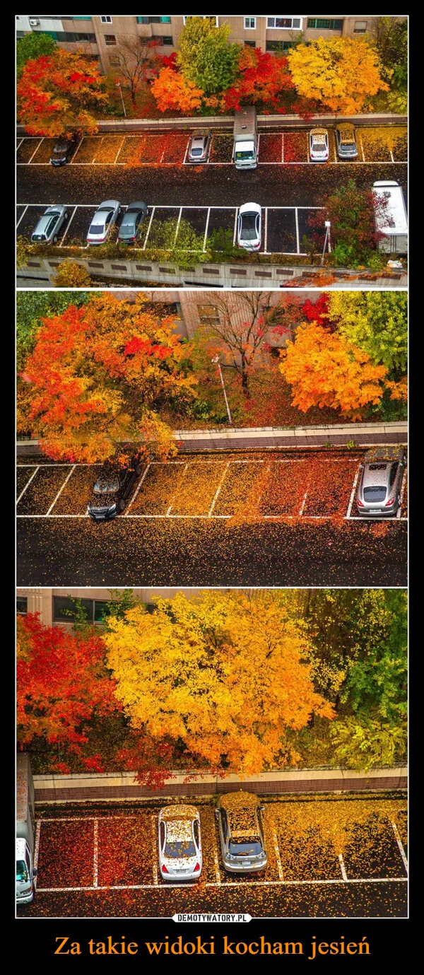 Za takie widoki kocham jesień