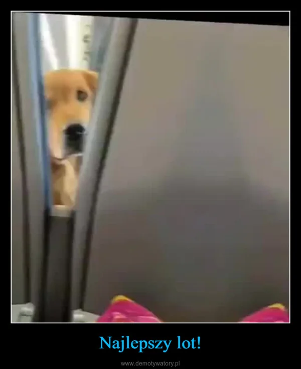 Najlepszy lot!