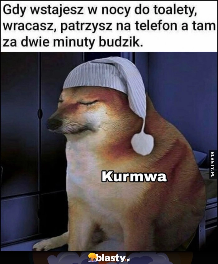 
    Gdy wstajesz w nocy do toalety, wracasz, patrzysz na telefon a tam za dwie minuty budzik pies pieseł doge cheems