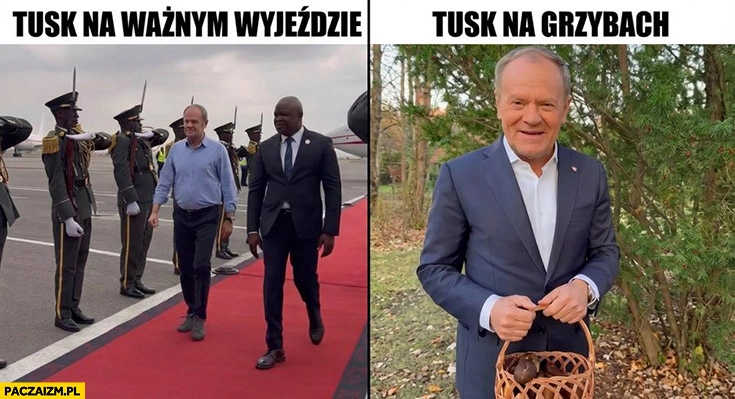 Tusk na ważnym wyjeździe w koszuli vs Tusk na grzybach w garniturze