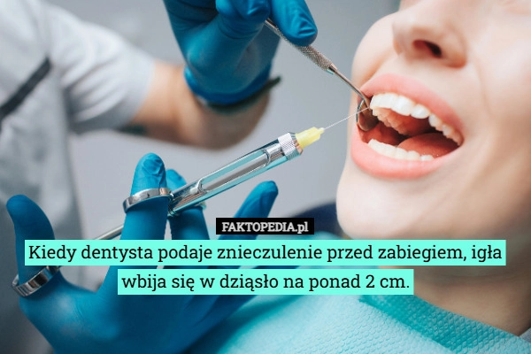 Kiedy dentysta podaje znieczulenie przed zabiegiem, igła wbija się w dziąsło