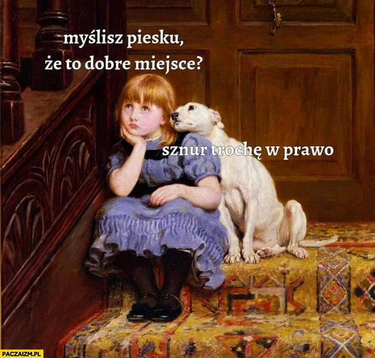 
    Myślisz piesku, że to dobre miejsce? Sznur trochę w prawo
