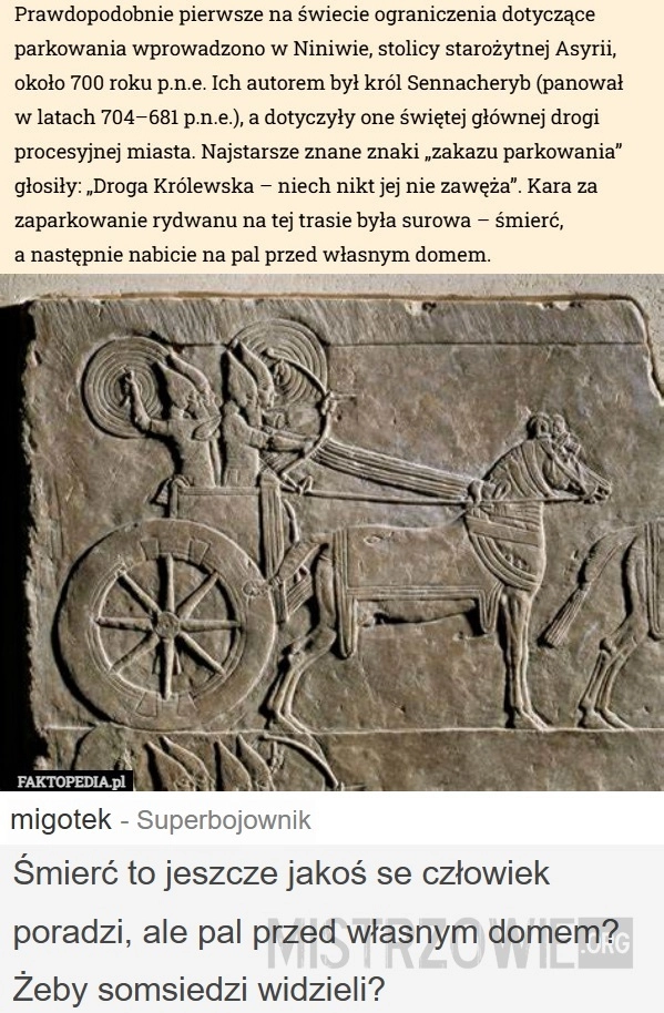 
    Ograniczenia dotyczące parkowania