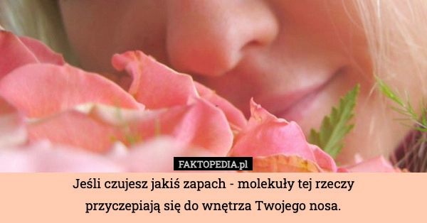 Jeśli czujesz jakiś zapach - molekuły tej rzeczy przyczepiają się do wnętrza