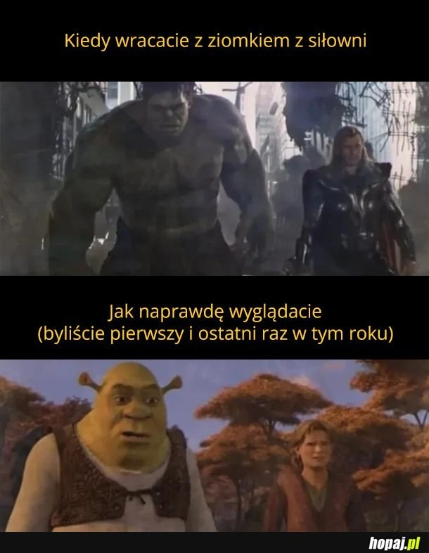 Po siłce