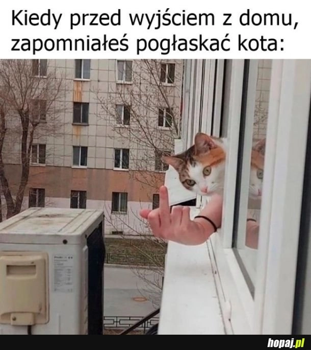 Lepiej nie zapominać xd