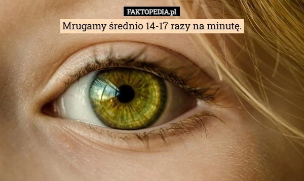 Mrugamy średnio 14-17 razy na minutę.