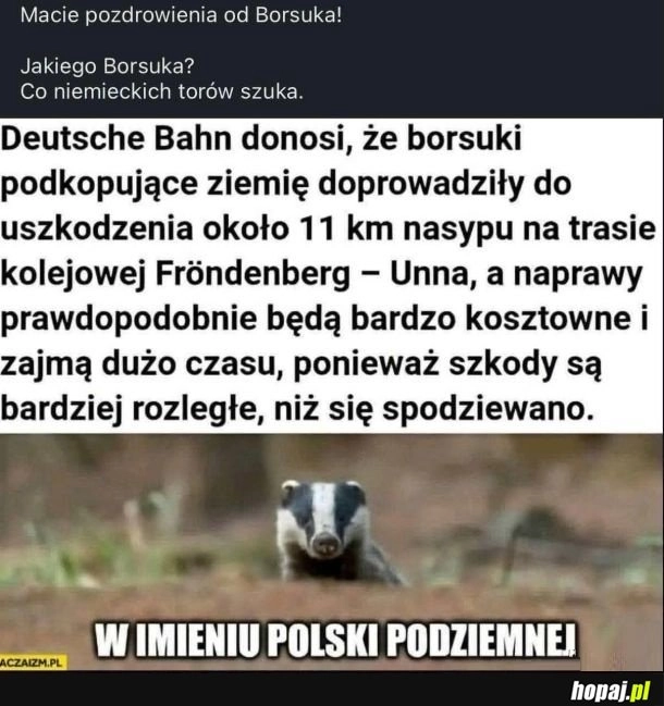 Pozdrowienia