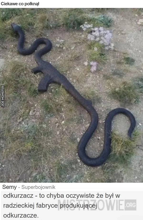 
    Ciekawe co połknął