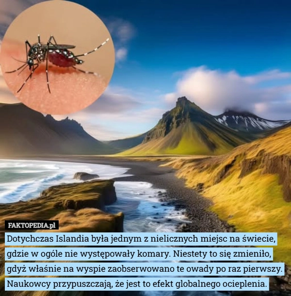 Dotychczas Islandia była jednym z nielicznych miejsc na świecie, gdzie w