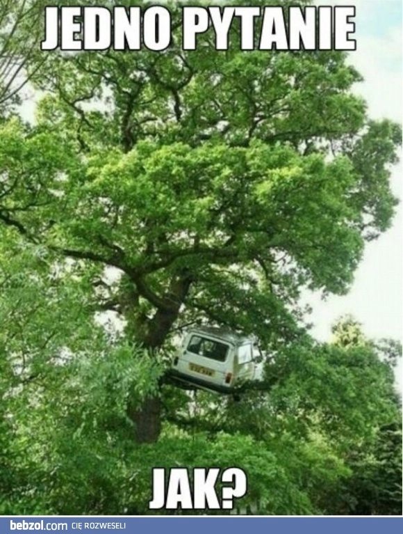 Jedno pytanie