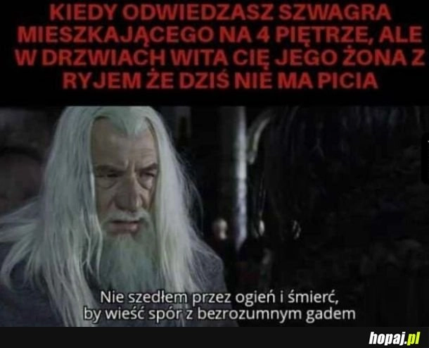 Odwiedziny