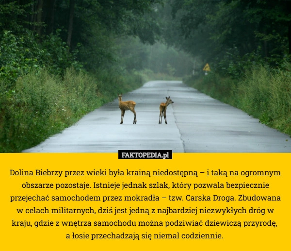 
    Dolina Biebrzy przez wieki była krainą niedostępną – i taką na ogromnym