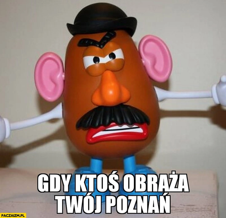Gdy ktoś obraża Twój Poznań wkurzona pyra