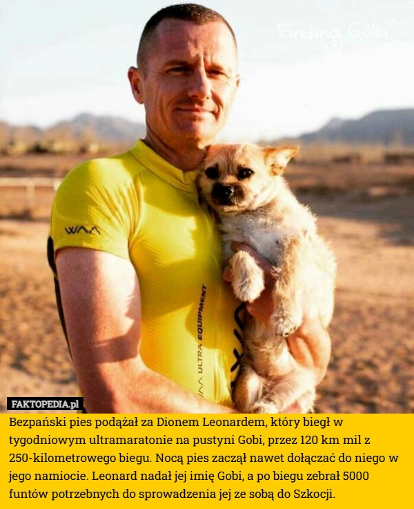 Bezpański pies podążał za Dionem Leonardem, który biegł w tygodniowym ultramaratonie