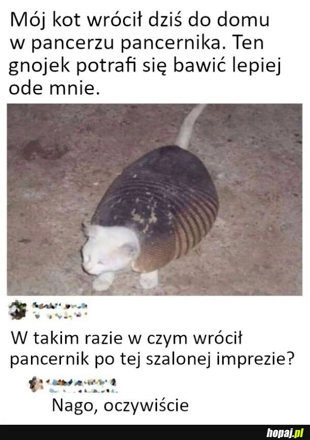 
    Dziwny powrót