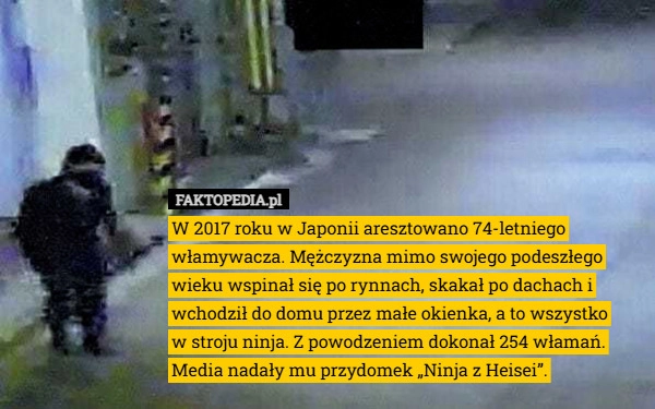 W 2017 roku w Japonii aresztowano 74-letniego włamywacza. Mężczyzna mimo