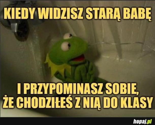 No tak xd