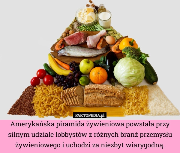 
    Amerykańska piramida żywieniowa powstała przy silnym udziale lobbystów z