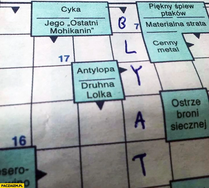 Krzyżówka hasło cyka, odpowiedz blyat
