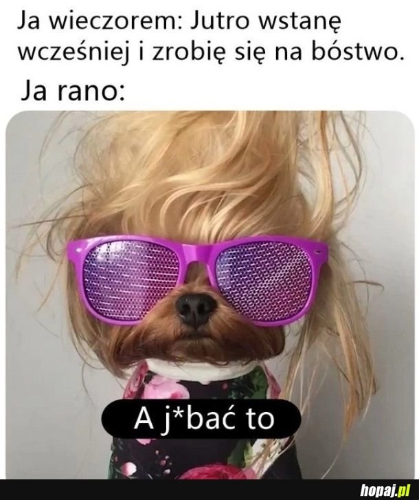 
    Postanowienia