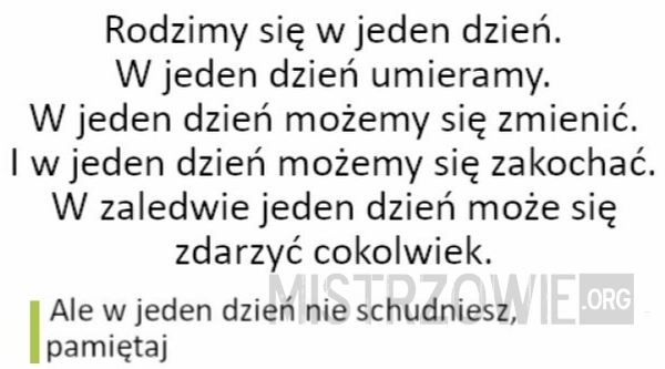 
    Jeden dzień