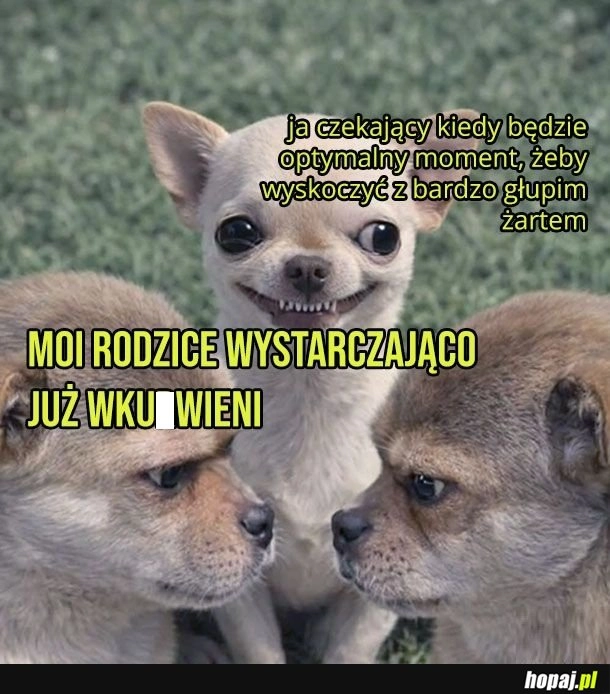 
    3... 2... 1...