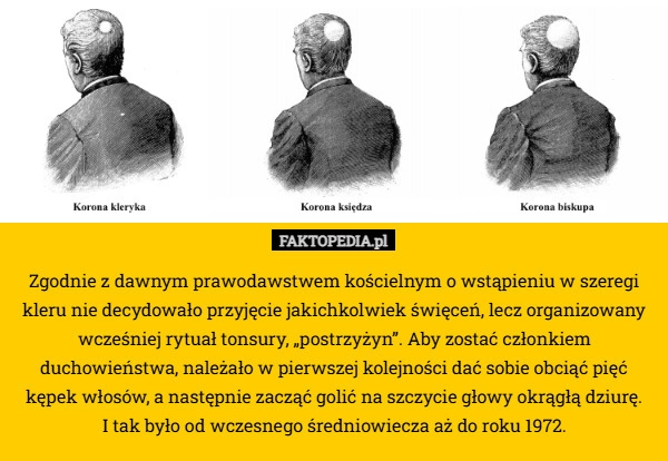 Zgodnie z dawnym prawodawstwem kościelnym o wstąpieniu w szeregi kleru nie