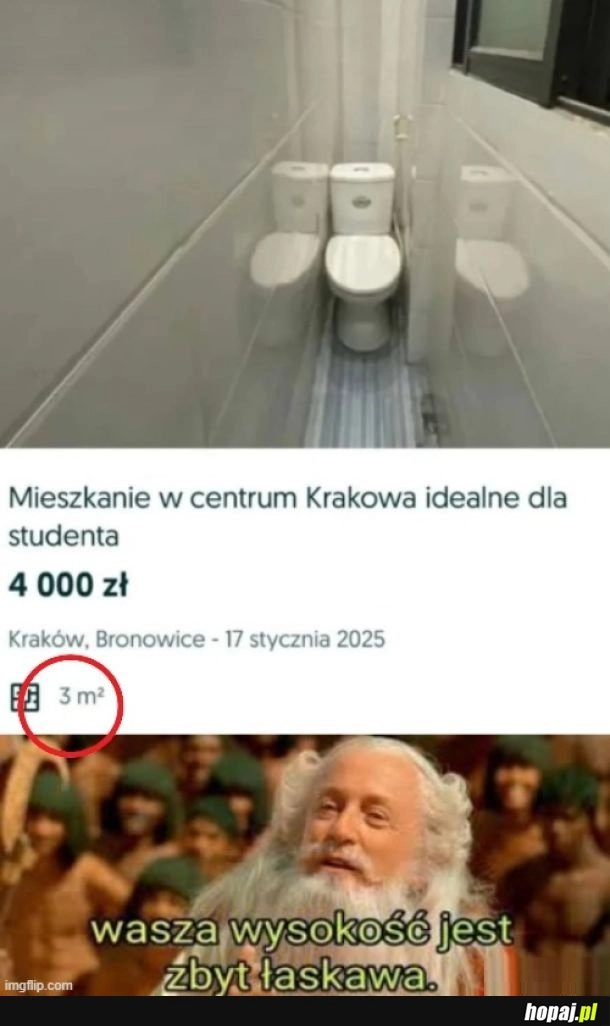 
    Można leżeć na podłodze przy kiblu i płakać