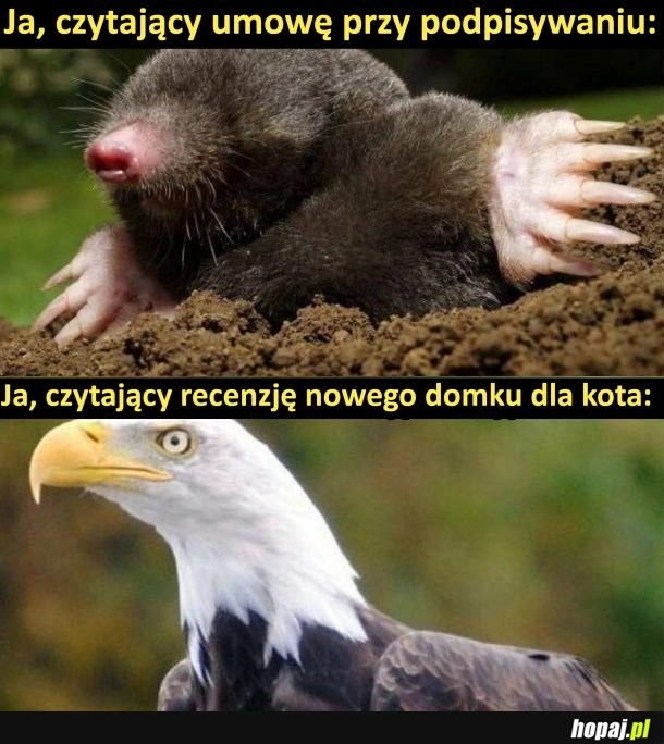 Jest jak jest
