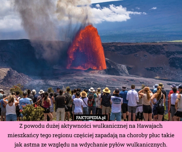 
    Z powodu dużej aktywności wulkanicznej na Hawajach mieszkańcy tego regionu