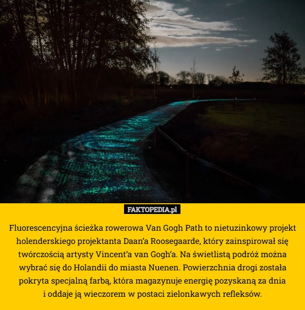 Fluorescencyjna ścieżka rowerowa Van Gogh Path to nietuzinkowy projekt holenderskiego