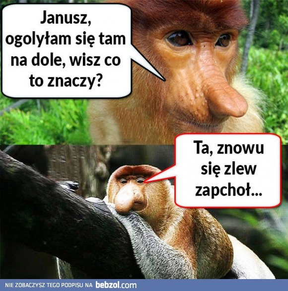 Janusz wie :D