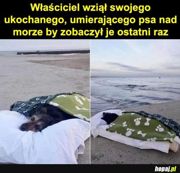 Pożegnanie