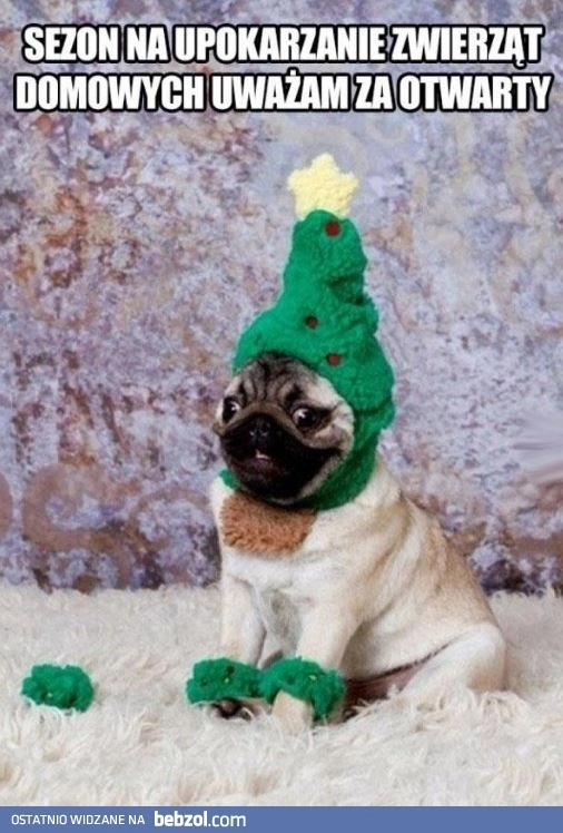 Sezon na upokarzanie zwierząt domowych