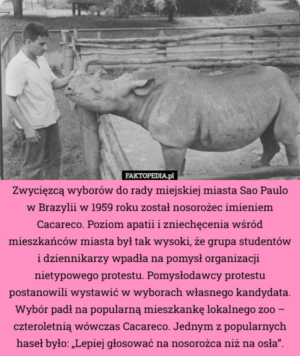 Zwycięzcą wyborów do rady miejskiej miasta Sao Paulo w Brazylii w 1959 roku