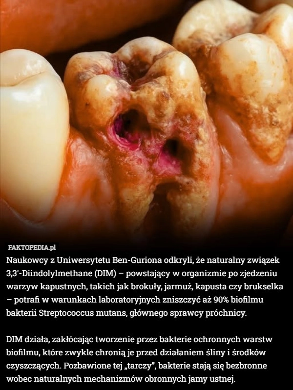 Naukowcy z Uniwersytetu Ben-Guriona odkryli, że naturalny związek 3,3′-Diindolylmethane