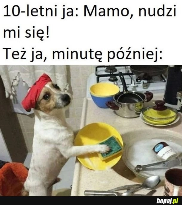 
    Znudzony