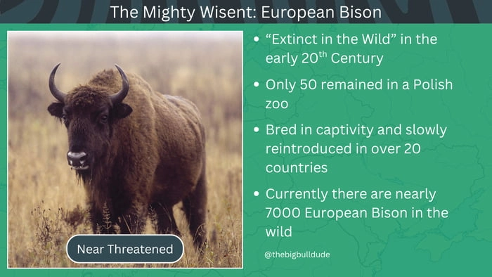 
    I like animals and I like good news, so I'm doing a series of posts about how different animals have been saved (That's right, I'm bringing the series back)