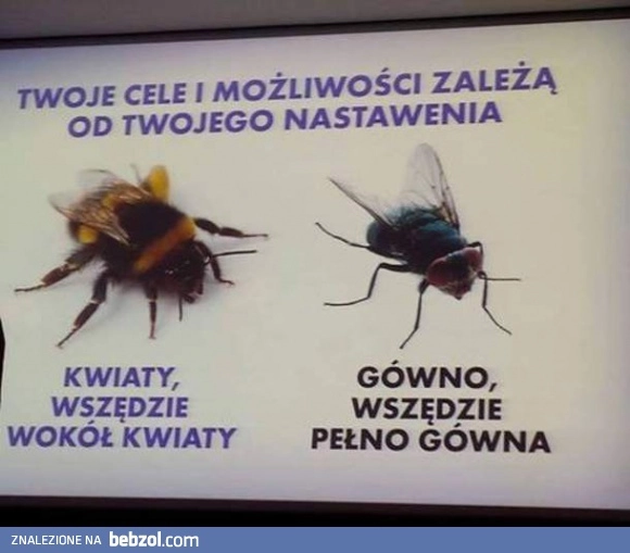 Cele i możliwości