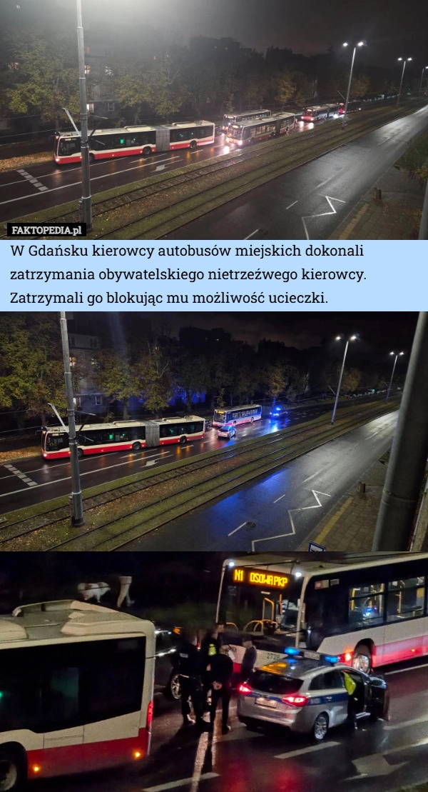 W Gdańsku kierowcy autobusów miejskich dokonali zatrzymania obywatelskiego