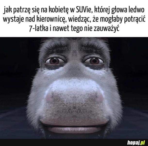 
    SUVy