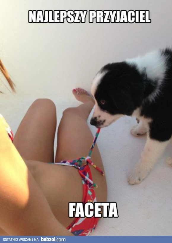 Najlepszy przyjaciel