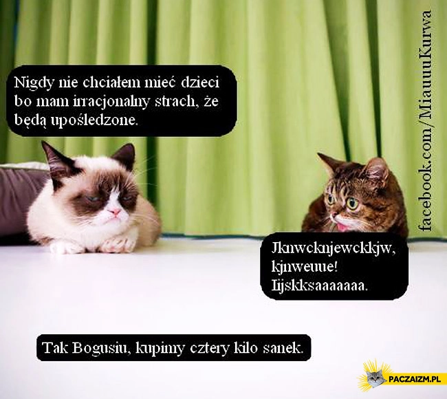 Tak Bogusiu kupimy cztery kilo sanek Grumpy