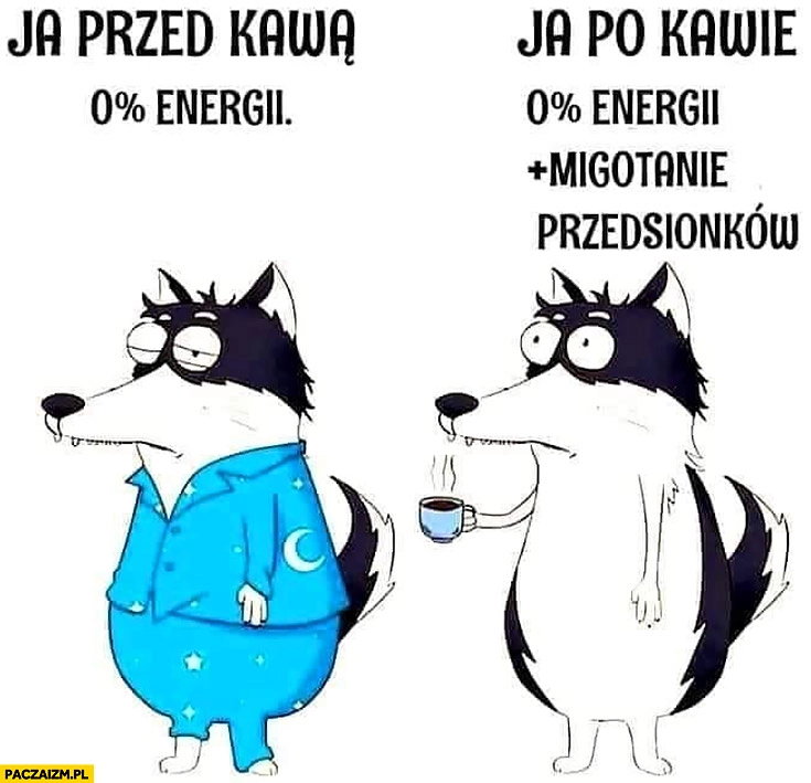 Ja: przed kawą zero energii, ja po kawie: 0 energii plus migotanie przedsionków